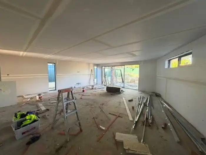 Ebert Street Ground Floor Ceilings - image 2